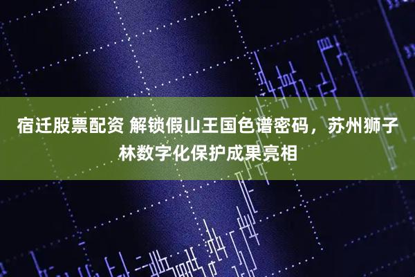 宿迁股票配资 解锁假山王国色谱密码,苏州狮子林数字化保护成果亮相